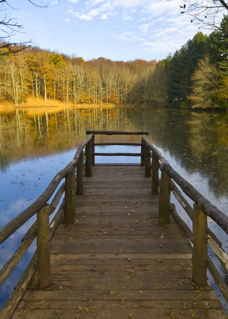 pontile foresta umbra