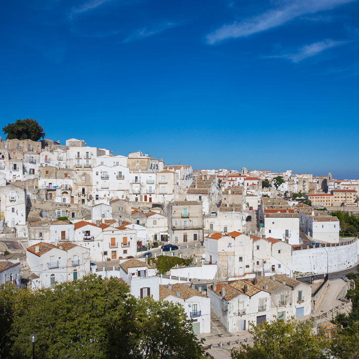 vista aerea su monte sant angelo