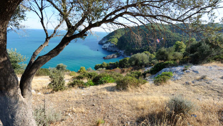 baia di pugnochiuso vista mare