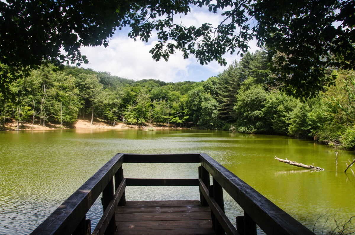 Lago Foresta Umbra