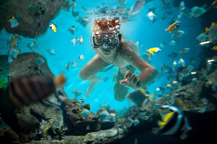 snorkeling tremiti