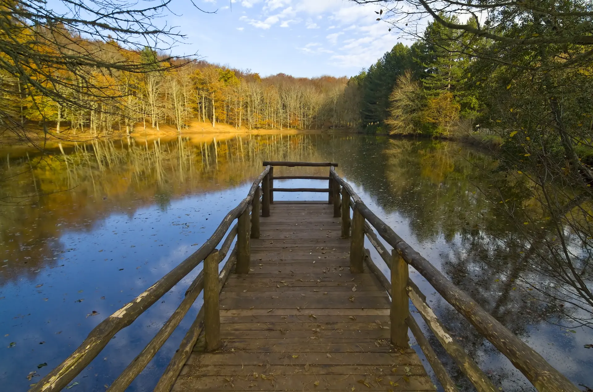 Foresta Umbra, ponte