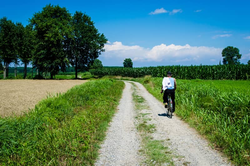 via francigena sud