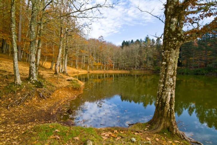 autunno gargano