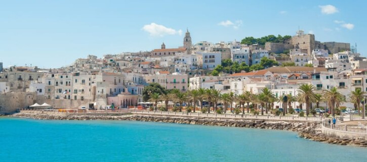 vieste macchina