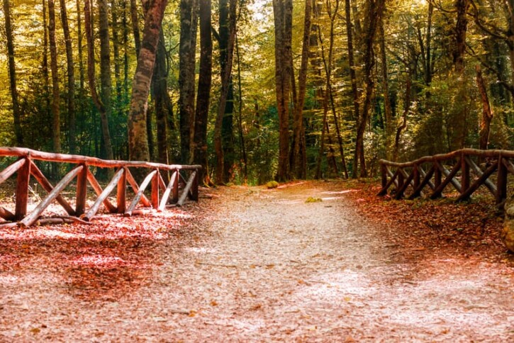 gargano autunno