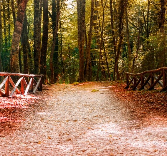 gargano autunno